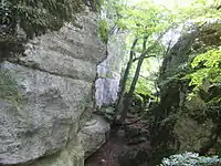 Split rock (split rock) at Schafberg