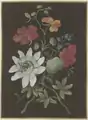 Gesteck aus Passionsblume (Passiflora), roter Kapuzinerkresse (Tropaeplum) und Vergißmeinnicht (Myosotis), mit blauem Käfer