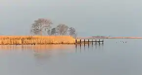 &nbsp;A view of Goëngarijpsterpoelen, one of the Frisian Lakes