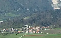 Godič from the south