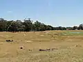 Old gold diggings at Barkly