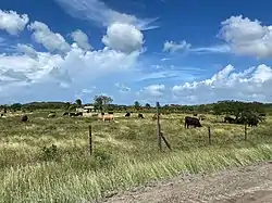 Farm in Golden Grove