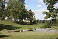 Farm pond.