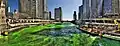 Image 5The Chicago River, Saint Patrick's Day 2009