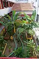 Green Garden
