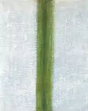 Green Stripe (1917)