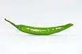 green chilli