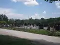 Rebrovac Cemetery