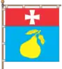 Flag of Hrushvytsia Persha