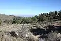 High elevation (8100&nbsp;ft) campground near summit.