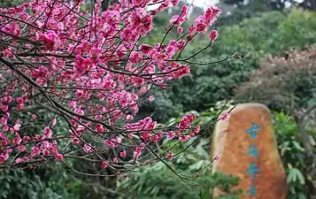 Entrance of Old Plums and Peculiar Stone museum (simplified Chinese: 古梅奇石馆; traditional Chinese: 古梅奇石館; pinyin: Gǔ méi qí shí guǎn),