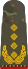 General(retired)