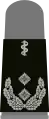 Oberfeldarzt(Army Senior Field Doctor, sweater mounting loop)