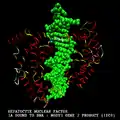 Hepatocyte nuclear factor 1A bound to DNA