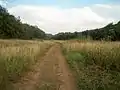 The road on Mighindoala river valley