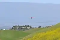 Hang gliding in the park