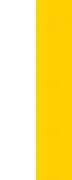 The vertical version of the flag.