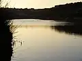 The Quarry Pool, Hengistbury Head