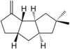 Hirsutene