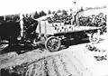 Grape harvest with horse & wagon