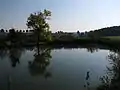Hlinné pond
