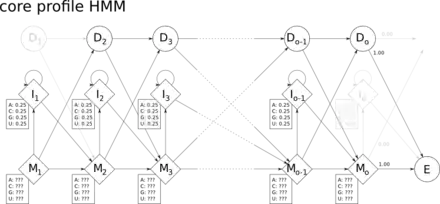The core profile HMM architecture used by HMMER.