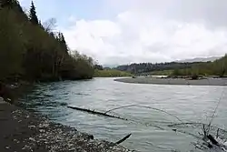 The Hoh River that runs through the forest.