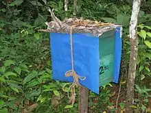 A teal coloured wooden box with blue coloured plastic cover.
