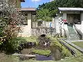 Rear fountain & pond