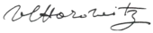 signature written in ink in a flowing script