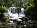 Horseshoe Falls