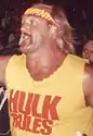 Hulk Hogan