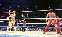Hulk Hogan And Brutus Beefcake