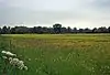 Hunsdon Mead