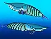 Restoration of two Hurdia victoria