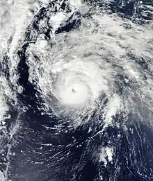 A satellite image depicting a well-developed hurricane with a clear eye visible