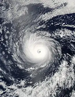 A view of a hurricane over open waters from Space. The hurricane is well-developed, with a symmetric cloud pattern and a well-defined eye at the center.