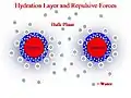Hydration layer