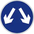 RUS 003Pass Either Side