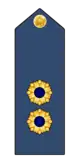 Colonel