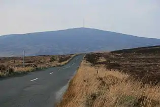 From the Sally Gap