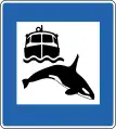 Whale watching