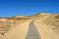 Image 15Sand dunes in the Curonian Spit
