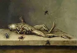 Image 11Dead Frog with Flies by Ambrosius Bosschaert II, c. 1630 (from Frogs in culture)