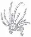 Katapu made of rattan, set with feathers and bird claws