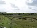 Bogland
