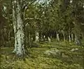 In the forest