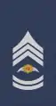Sáirsint eitleoigeIrish Air Corps