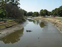 Iron Cove Creek at Timbrell Park