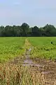 Irrigation ditch in Montour County, Pennsylvania, USA